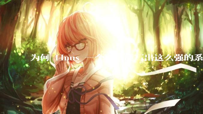 为何 Linus 一个人就能写出这么强的系统，中国却做不出来？