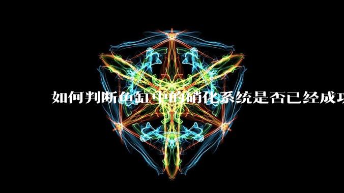 如何判断鱼缸中的硝化系统是否已经成功建立？